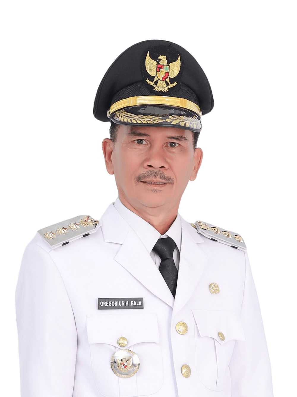Gregorius Herkulanus Bala, Bupati Sintang
